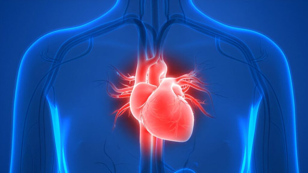 infrared-sauna-therapy-heart-health-circulation-weight-loss
