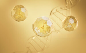 How Peptides Work in the Body